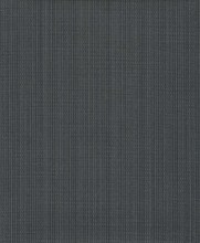 VS-10443-1-TANPP Vervain